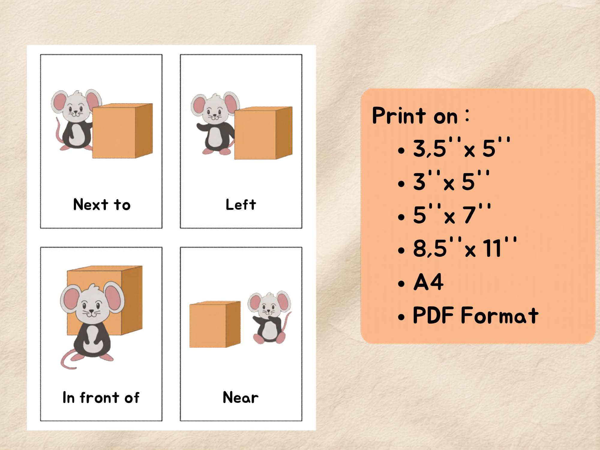 Positional Grade 20 Preposition Flashcard, Kindergarten Positional Words of Place ...