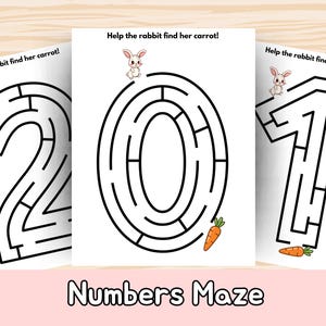 May include: Three white paper mazes with black lines forming the numbers 2, 0, and 1. Each maze has a cartoon rabbit and the text "Help the rabbit find her carrot!". A carrot graphic is at the end of the maze. The words "Numbers Maze" are at the bottom.