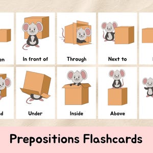 May include: Flashcards illustrating prepositions with a cartoon mouse and a brown box. The cards show the mouse in various positions: between, in front of, through, next to, near, around, under, inside, above, and left. The text "Prepositions Flashcards" is at the bottom.