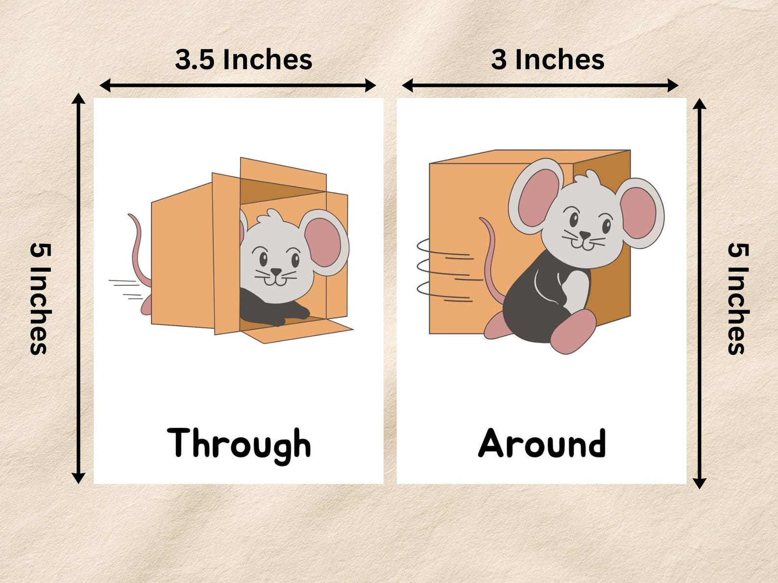 Positional Grade 20 Preposition Flashcard, Kindergarten Positional Words of Place ...