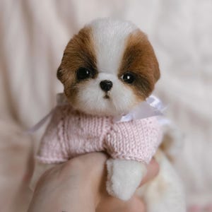 Shih-Tzu puppy