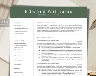Curriculum professionale, Curriculum CV ATS a colori, Curriculum esecutivo Google Docs, Modello Cv per Word, Marketing, Formato del CV, Minimalista, Word