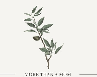 More Than A Mom - A Journal