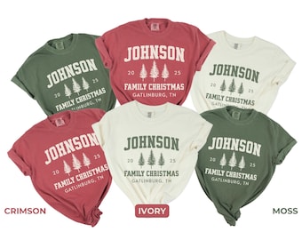 Custom Family Christmas Shirts, Comfort Colors Matching Family Christmas Tshirts, Personalized Name Christmas Shirt, Adult Unisex and Youth