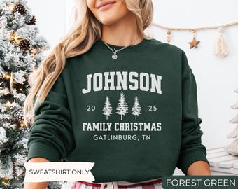 Custom Family Christmas Sweatshirts, Matching Family Christmas Sweaters, Personalized Name Christmas Shirt, Adult Unisex and Youth Christmas