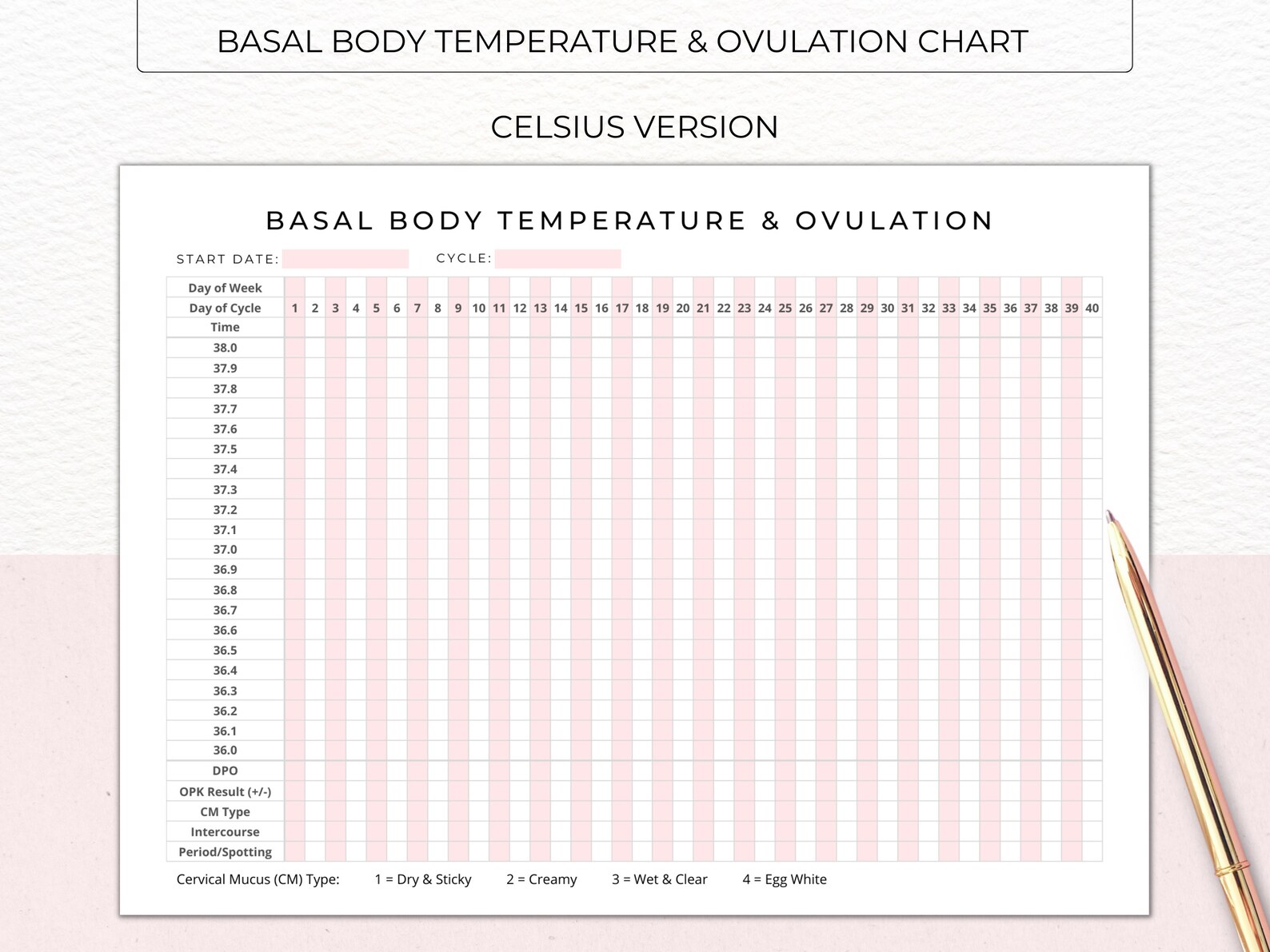 FERTILITY BUNDLE Printable - BBT Basal Body Temperature Chart ...