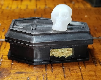 Coffin Jumping Spider Hide/Ledge
