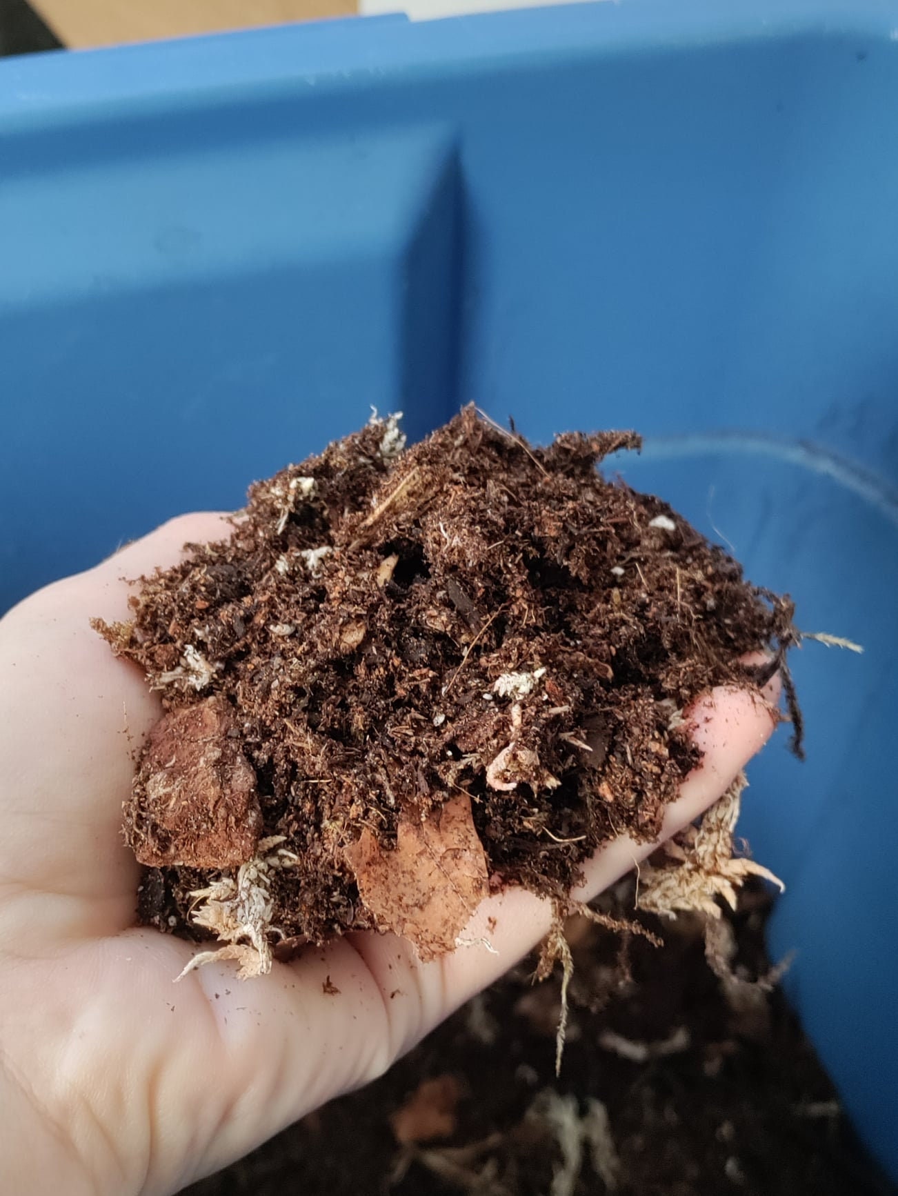Organic Soil for Moss-stuffed 6x6 Sandwich Bag Full-terrarium Soil-3 Cup  Bag 