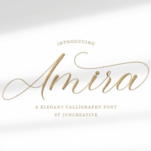 Amira - Calligraphy Handwritten Script Font, Cricut Fonts, Procreate Fonts, Modern Font, Cursive Font, Fonts for Cricut