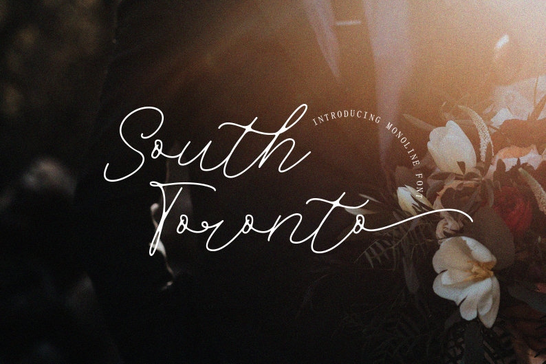 Toronto - Modern Font, Wedding Font, Procreate Font, Canva Font, Logo ...