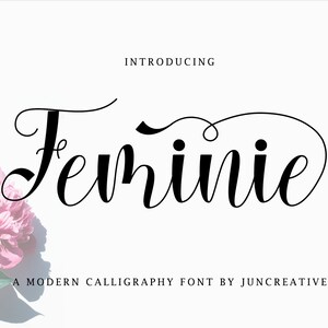 Moderne Kalligraphie Schrift, Hochzeit Schriftart, handschriftliche Schriftart, Script Font, Digitale Schriftart, Einladung Schriftart, Schriftart für Cricut, Cricut Font