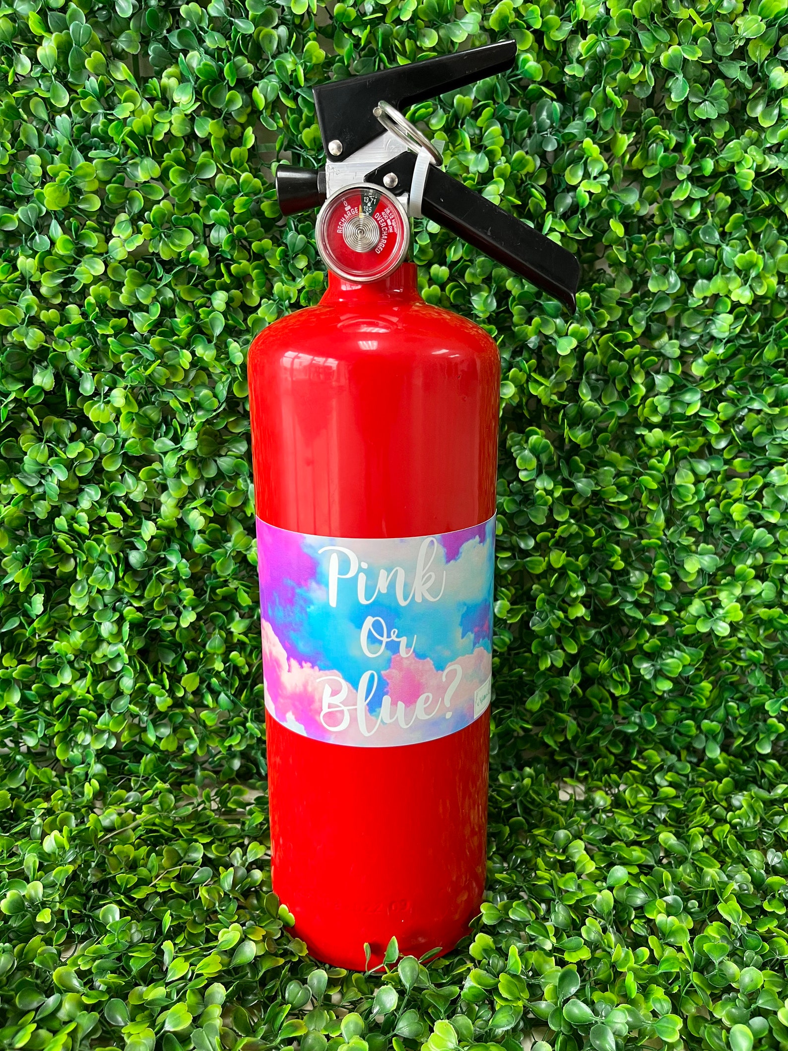 Gender Reveal Fire Extinguishe Color Blaster Etsy