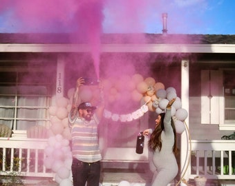 Gender Reveal LARGE Extinguisher/ Color Blaster w/ FREE Confetti Powder Cannon!