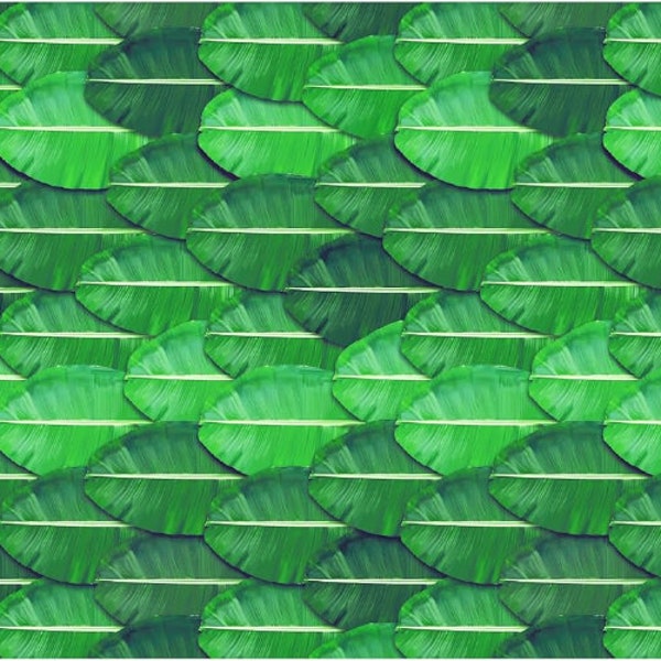 Backdrop Cloth Banana Leaf for All Festivals/House Hold Functions/Ceremonies Size 8 Feet Width * 5Feet Height (8 * 5)