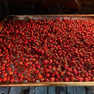 May include: A baking sheet filled with numerous red rose hips. The rose hips are small, oval-shaped, and have a deep red color. They are densely packed together, filling the entire surface of the sheet. The image is taken from a slightly elevated angle, providing a clear view of the rose hips.