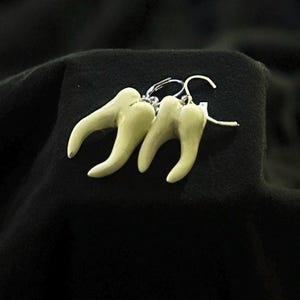 Pode incluir: Um par de brincos com tr&ecirc;s pingentes brancos em forma de dente pendurados em ganchos prateados.