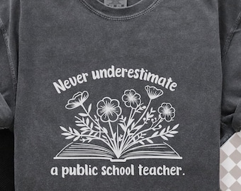 Never Underestimate A Public School Teacher Shirt, Comfort Colors Inspirational Teacher Tee, Trendy Teacher Appreciation Gift