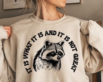 Aesthetic Preppy Shirt, It Is What It Is And It Is Not Great Shirt,  Raccoon Meme T Shirt, Quote Shirts, Mood Gifts, Funny Mood Shirt,E6731