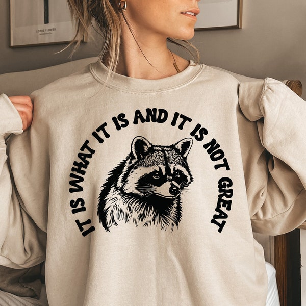 Aesthetic Preppy Shirt, It Is What It Is And It Is Not Great Shirt,  Raccoon Meme T Shirt, Quote Shirts, Mood Gifts, Funny Mood Shirt,E6731