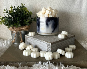 Hibiscus Waterfalls ~ Bath and Body Works Candle Wax Melts