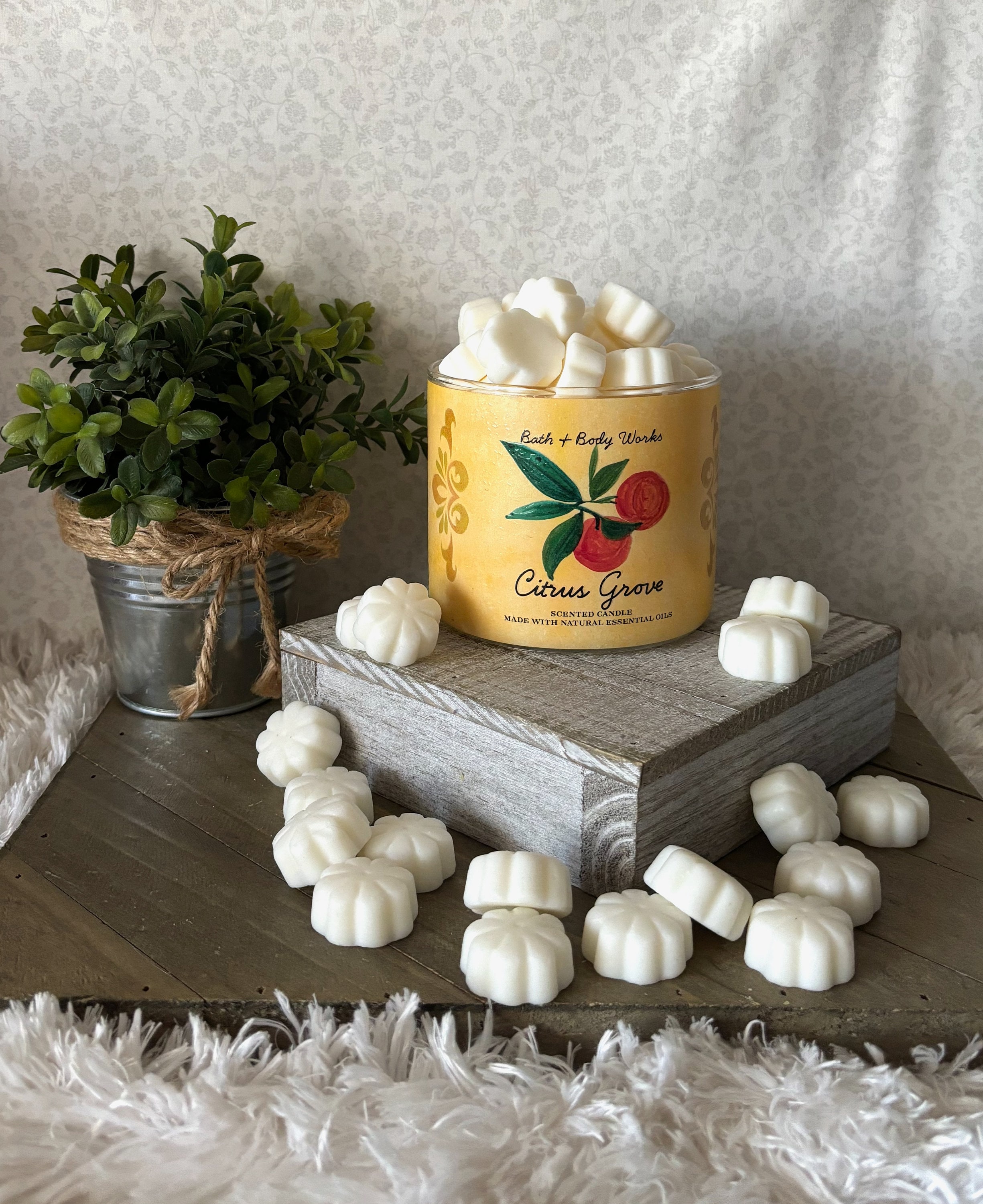 Citrus Grove ~ Bath and Body Works Candle Wax Melts - Etsy