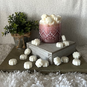 Spiced Blackberry Cider ~ Bath and Body Works Candle Wax Melts