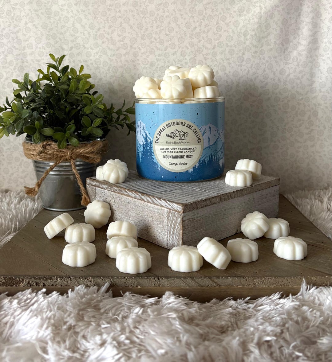 Mountainside Mist ~ Bath and Body Works Candle Wax Melts - Etsy