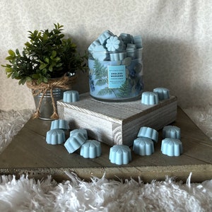 Endless Weekend ~ Bath and Body Works Candle Wax Melts