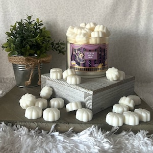 Sugar Plum Fairy ~ Bath and Body Works Candle Wax Melts