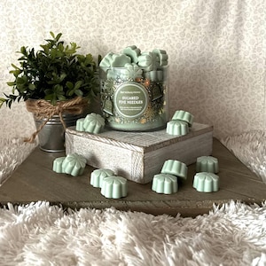 May include: A clear glass jar candle and wax melts with the text "Sugared Pine Needles". The candle and wax melts are light green. A small potted plant sits to the left of the candle on a wooden surface.