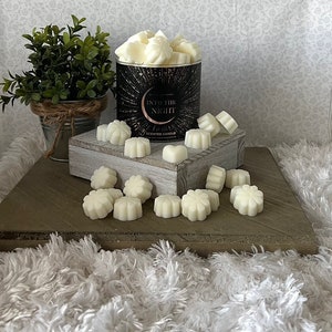 Into the Night ~ Bath and Body Works Candle Wax Melts