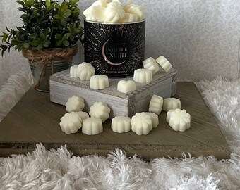 Into the Night ~ Bath and Body Works Candle Wax Melts