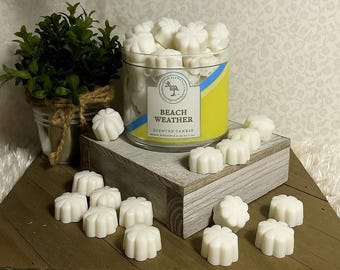 Beach Weather ~ Bath and Body Works Candle Wax Melts