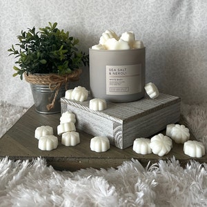 Sea Salt & Neroli ~ Bath and Body Works Candle Wax Melts