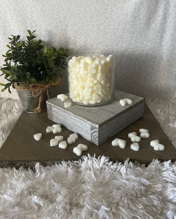 Mountainside Mist ~ Bath and Body Works Candle Wax Melts - Etsy