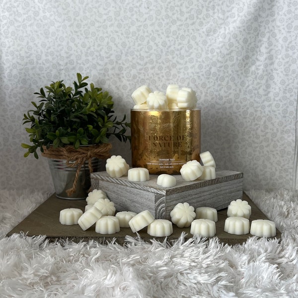 Champagne Toast ~ Bath and Body Works Candle Wax Melts