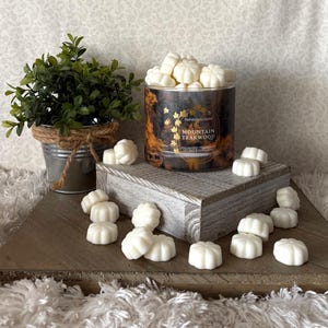 Mountain Teakwood  ~ Bath and Body Works Candle Wax Melts