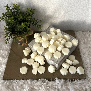 Puede incluir: Una colecci&oacute;n de peque&ntilde;os derretidos de cera blancos en forma de flor. Los derretidos est&aacute;n esparcidos sobre una superficie de madera r&uacute;stica y un peque&ntilde;o bloque de madera decorativo. Una peque&ntilde;a planta en maceta est&aacute; en el fondo.