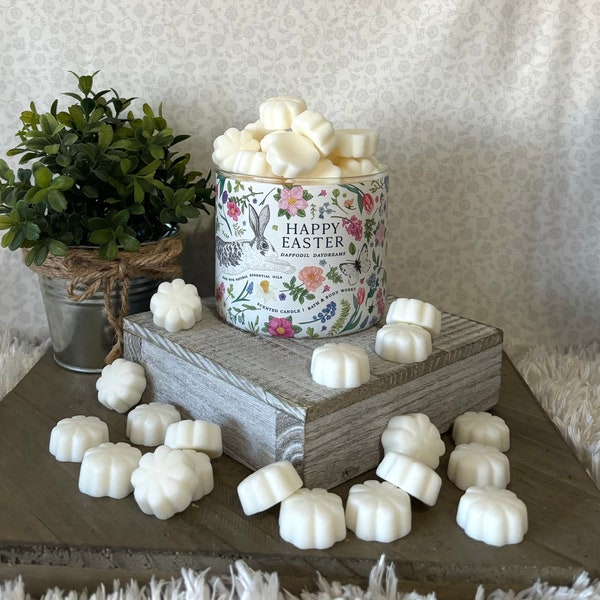 Daffodil Daydreams ~ Bath and Body Works Candle Wax Melts