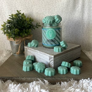 Pistachio Ice Cream ~ Bath and Body Works Candle Wax Melts