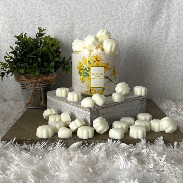 Sunshine & Daffodils ~ Bath and Body Works Candle Wax Melts