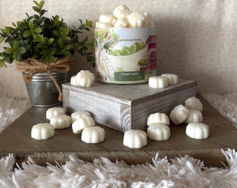 May include: A Bath & Body Works Cider Lane candle jar filled with small, white, pumpkin-shaped wax melts. The label features an illustration of an apple orchard with a ladder. Additional wax melts are scattered on a wooden block base.