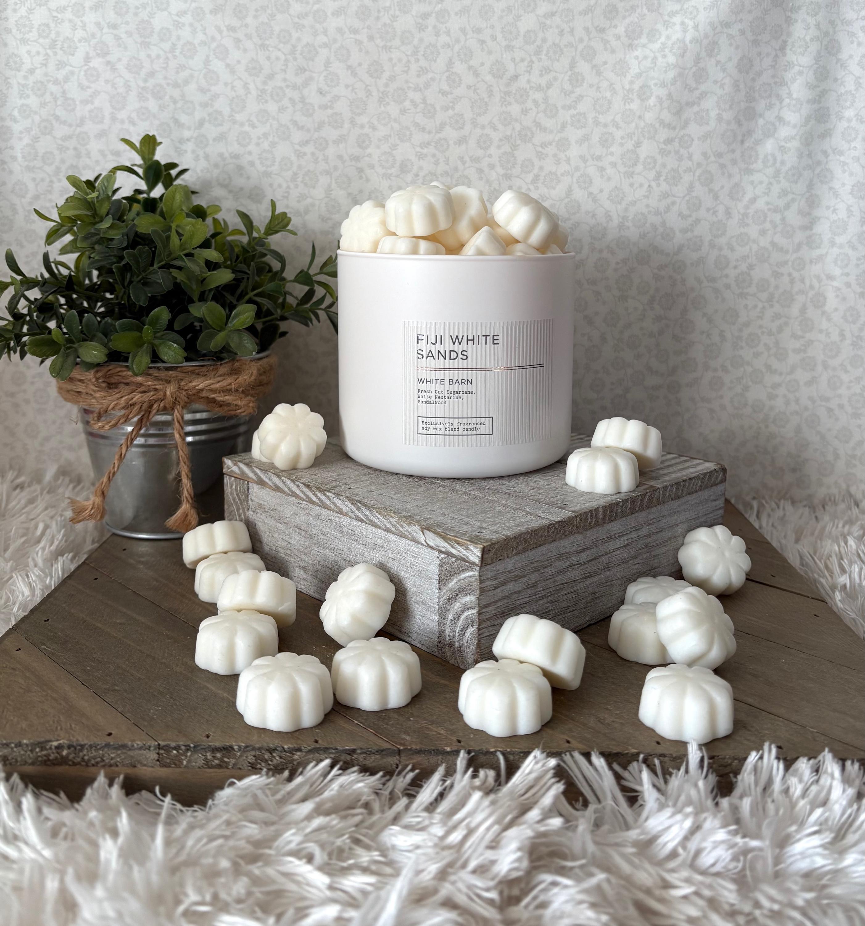 Fiji White Sands ~ Bath and Body Works Candle Wax Melts - Etsy