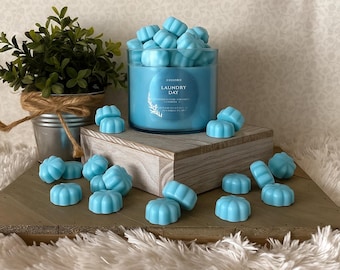 Laundry Day ~ Bath and Body Works Candle Wax Melts