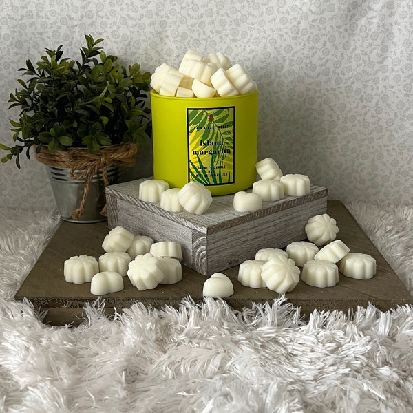 Island Margarita ~ Bath and Body Works Candle Wax Melts