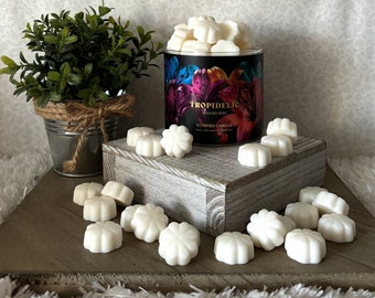 Tropidelic ~ Bath and Body Works Candle Wax Melts - Etsy