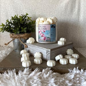 May include: A glass jar candle labeled "Orchid Blooms" with a floral design, surrounded by small, white, flower-shaped wax melts. A small potted plant in a metal bucket sits to the left. The candle and melts are on a wooden surface.