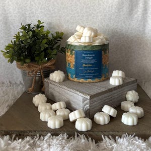 May include: A white jar with a blue and brown patterned label that reads "Rainforest Jungle" filled with white wax melts. The wax melts are scattered on a wooden surface.