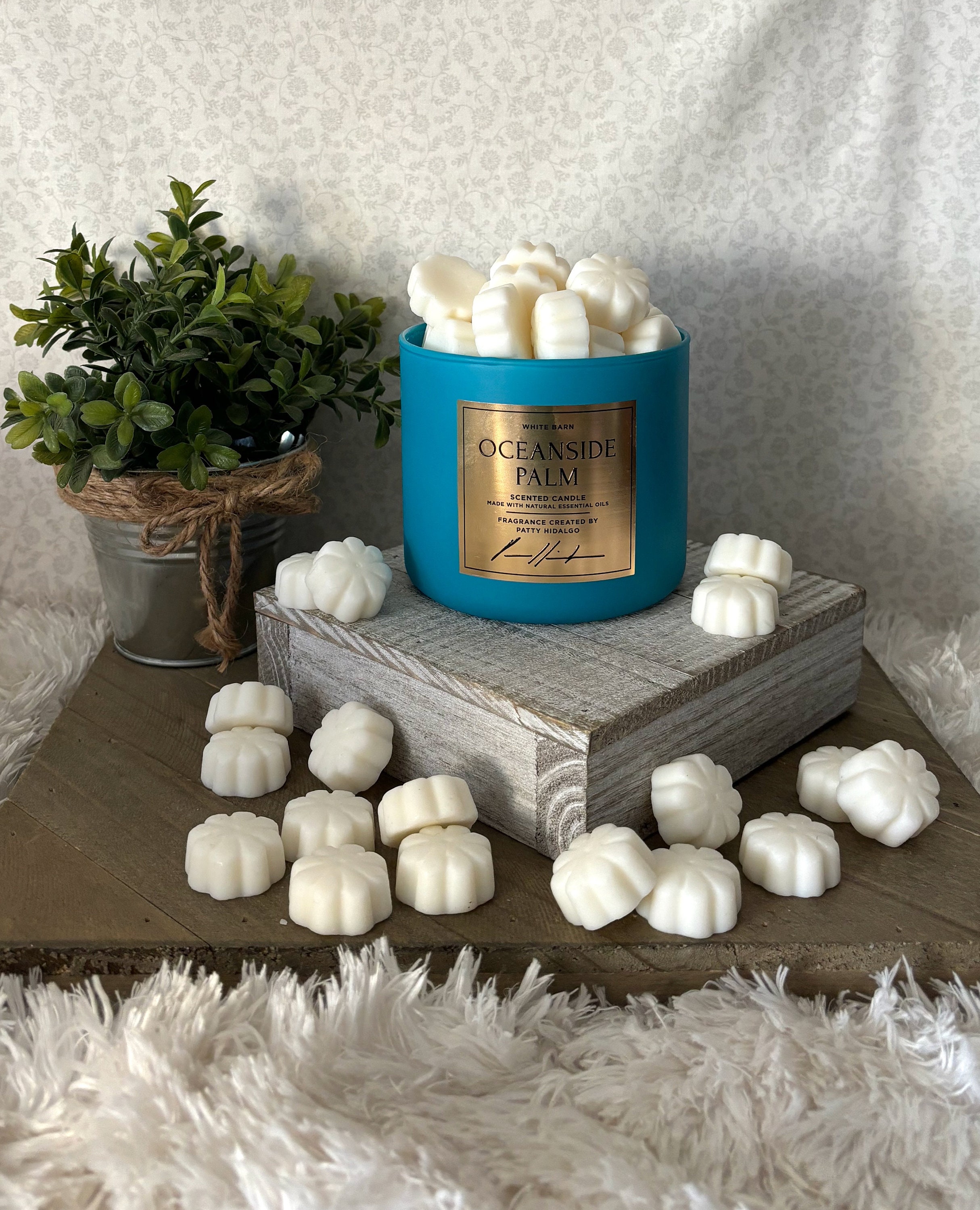 Oceanside Palm ~ Bath and Body Works Candle Wax Melts - Etsy