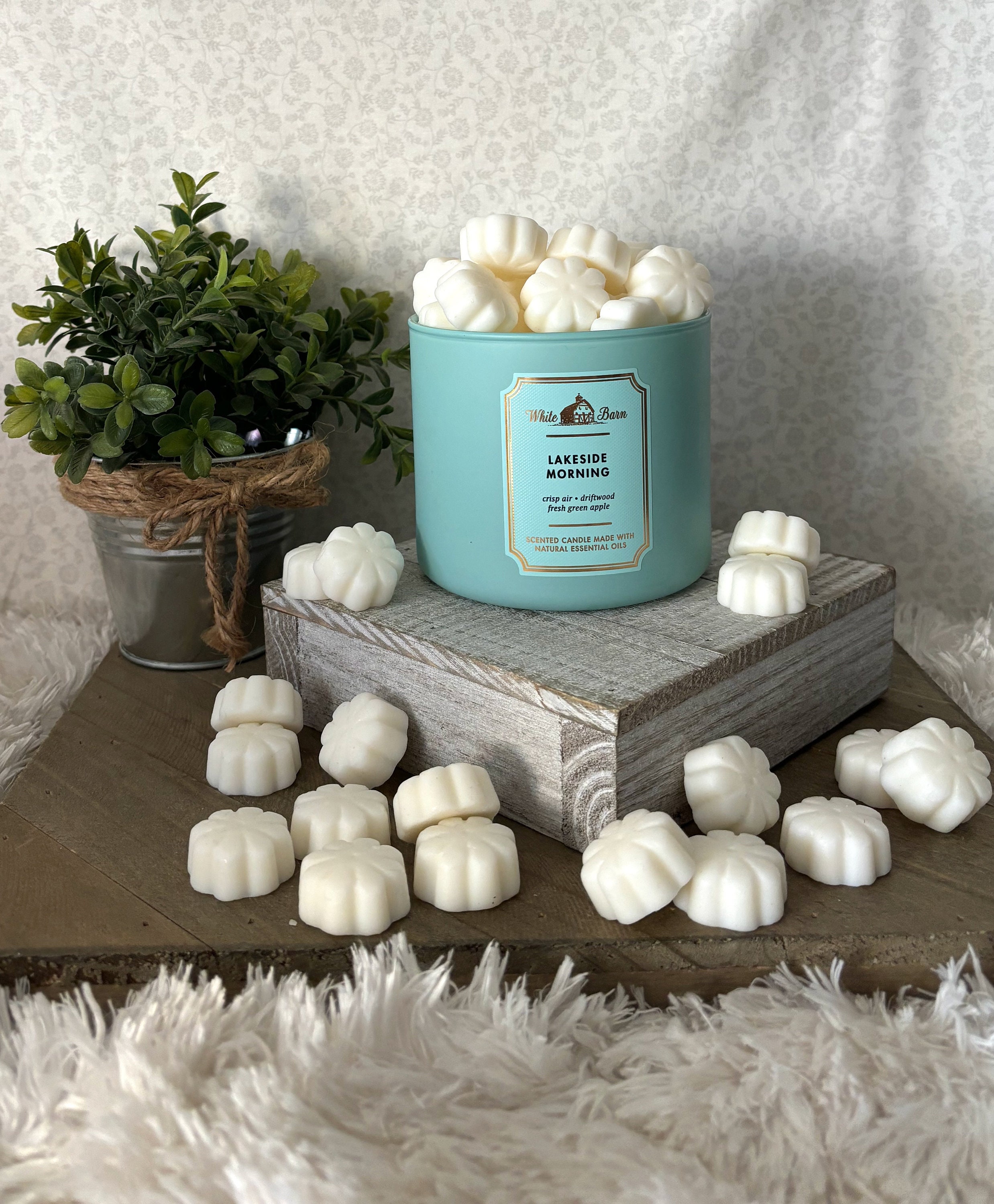 Lakeside Morning ~ Bath and Body Works Candle Wax Melts - Etsy